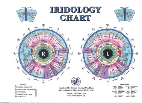 Iridology a practical guide to iris analysis. - 2010 npte national physical therapy examination review study guide.