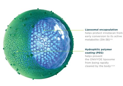 Irinotecan Liposome Injection - ResearchGate