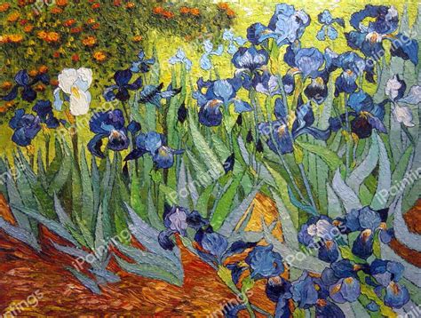  In May 1889, after episodes of self-mutilation and hospitalization, Vincent van Gogh chose to enter an asylum in Saint-Rémy, France. There, in the last year before his death, he created almost 130 paintings. Within the first week, he began Irises, working from nature in the asylum's garden. The cropped composition, divided into broad areas of ... . 