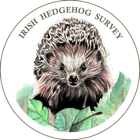 Irish Hedgehog Survey - Facebook