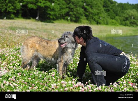 Irish Wolfhound Women