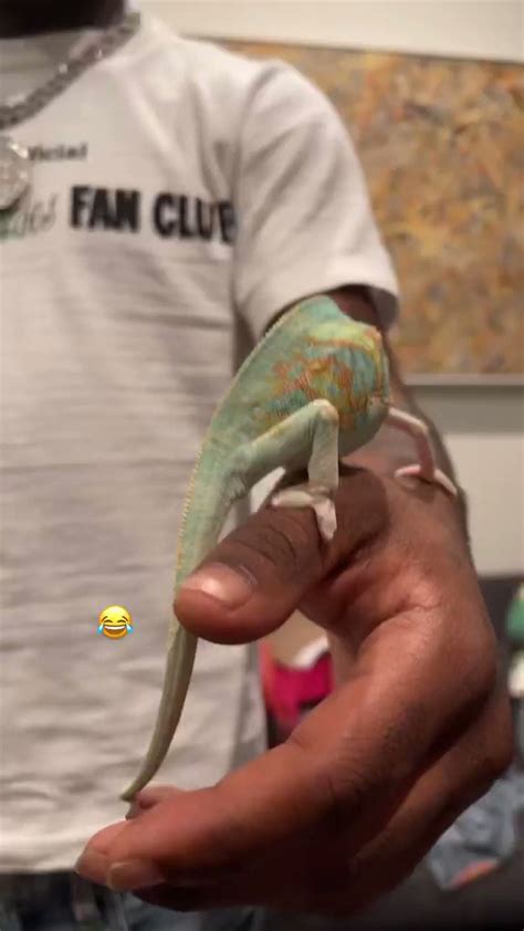 Irisrosealicia Leaks 🔥 (SEX)