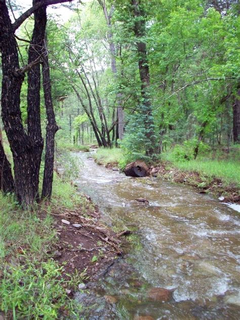 Iron Creek - Explore New Mexico