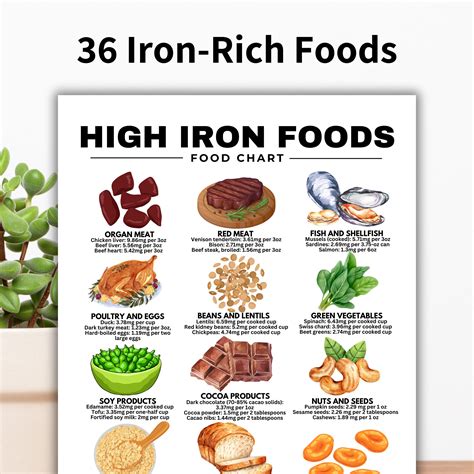 Iron Rich Foods List Examples and Forms