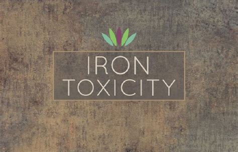 Iron Toxicity - Myersdetox.com