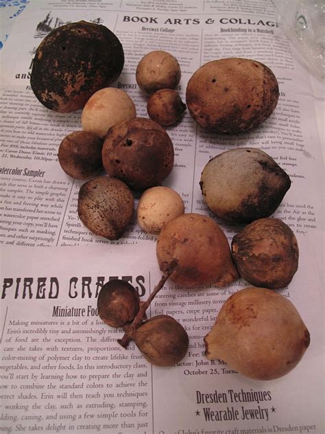Iron gall ink recipe. .  <a href=https://www.alessa-art.nl/p9uo7/big-booty-ebony-pic...