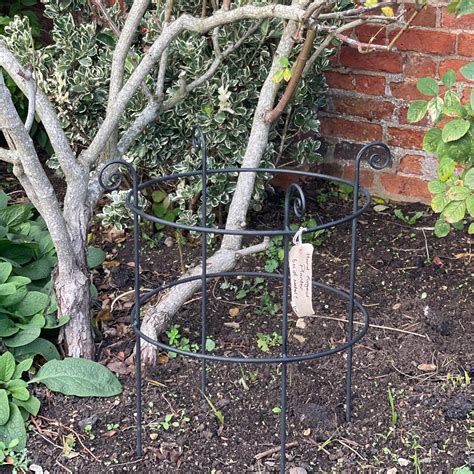 Iron plant supports.  Custom designs are welcome.  They support and protect...