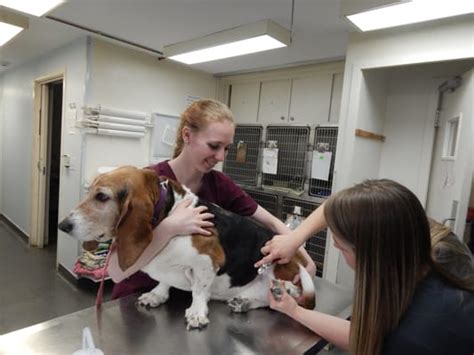Irondequoit animal hospital. 8.0 miles away from Lakeside Animal Hospital From dog boarding and day care, to grooming, training and enrichment, our fun-loving Counselors maximize both safety and individualized care for dogs. With more than 200 locations in North America, Camp Bow Wow is the largest pet… read more 