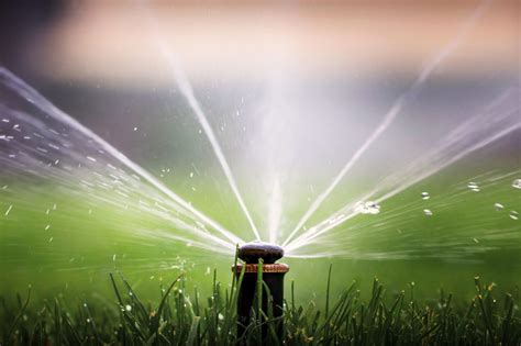 Irrigation Repairs Sutherland Shire