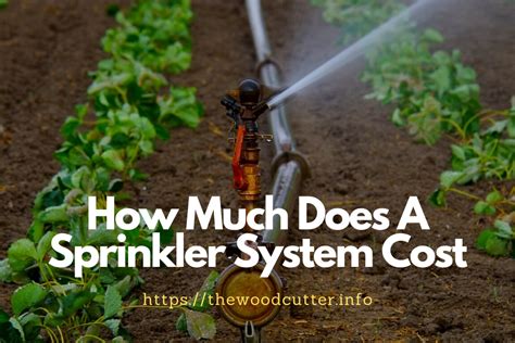 Irrigation system cost. Sep 7, 2023 · “An above-ground system costs around $1,800 to $2,000, ... who estimates that drip irrigation systems cost between $450 and $650 for a quarter-acre lawn, on average. ... 