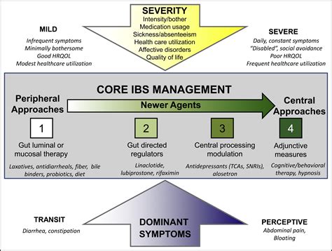 Irritable Bowel Syndrome: Modern Concepts and Management …