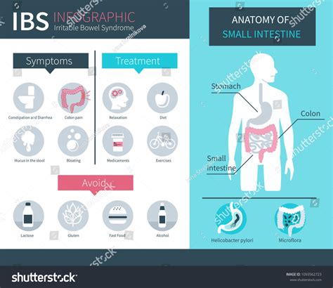 Irritable Bowel Syndrome royalty-free images - Shutterstock