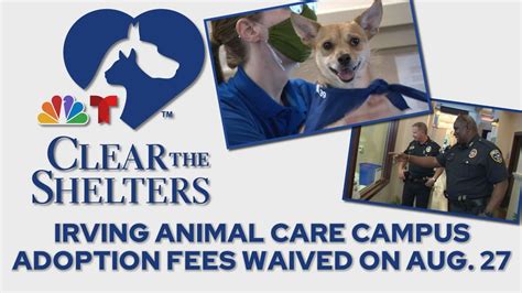 Irving animal care campus adoption. Adoption, foster, and rescue. Animal Hope - Ft. Worth. Shelter but may offer some support for community cats as well as a possible option for friendly cats and ... 