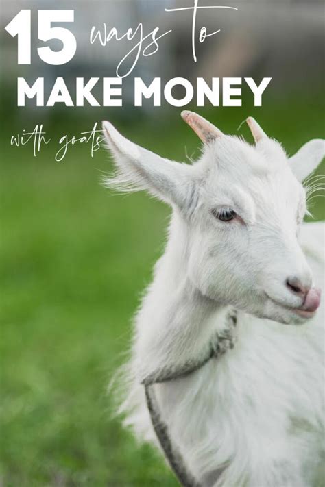 Is it hard to make money with goats? .