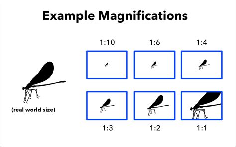 Is 10X magnification enough