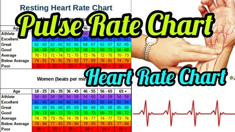 Is 120 Pulse Rate Normal? - eMedicineHealth