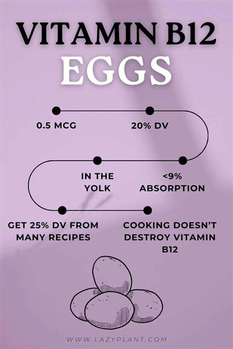 Is 2 eggs a day enough B12