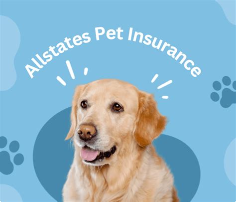 Is Allstate Pet Insurance Good