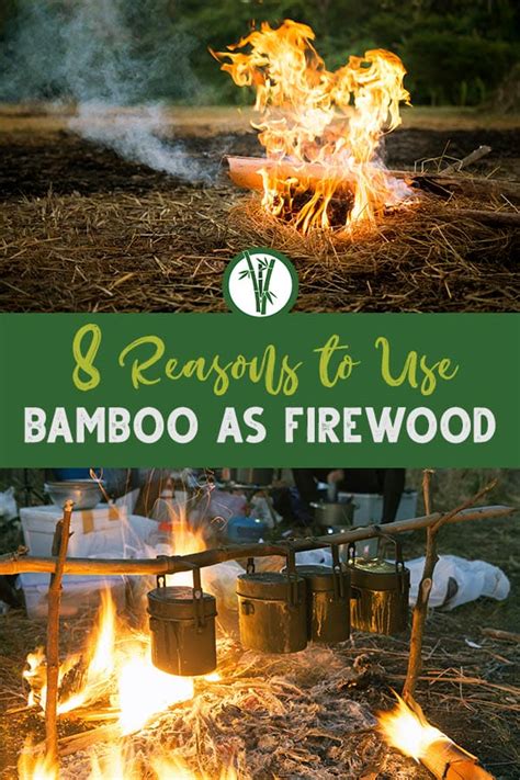 Is Bamboo Good Firewood? Pros and Cons - The Happy Bamboo