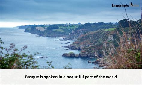 Is Basque a difficult language to learn