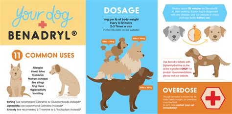 Is Benadryl Safe For Dogs