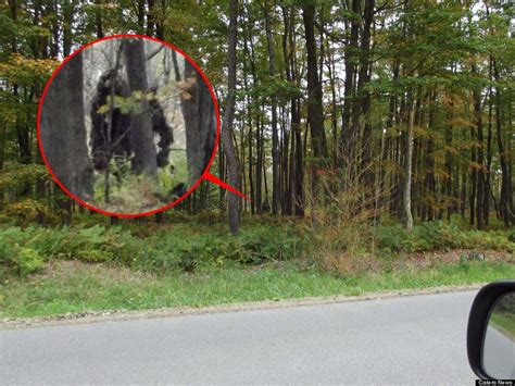 Is Bigfoot real? I went looking for it in Pennsylvania