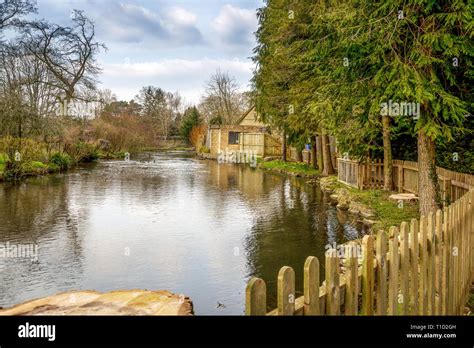 Is Birdland In Bourton On The Water Worth Visiting? (Birdland …