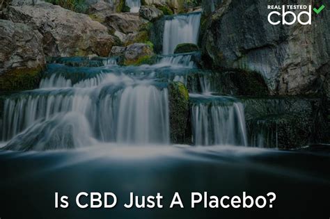 Is CBD Just A Placebo Pill? — Science Is Shedding Light On CBD’s True Potential