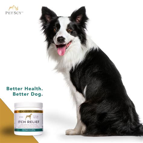 Is Cbd Oil Good For Dogs Itchy Skin