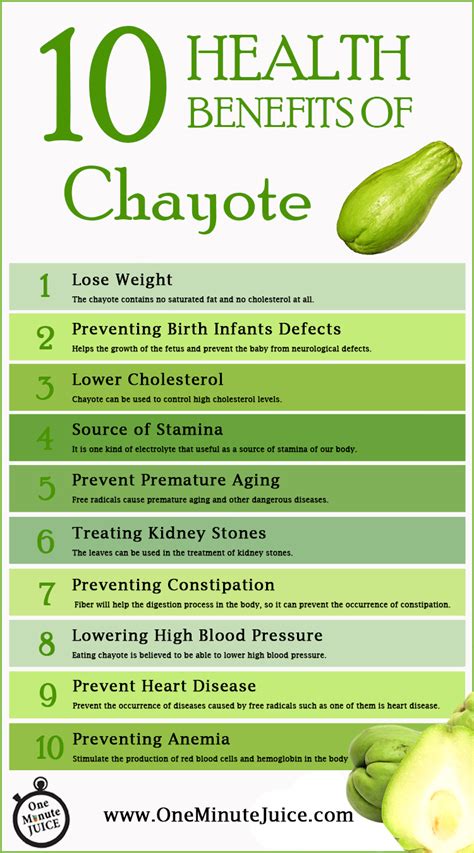 Is Chayote a Fruit or Vegetable and What Are the Health Benefits?