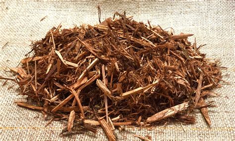 Is Cypress Mulch Good or Bad? – Haversack Tile