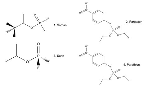 Is DDT organophosphate or organochlorine? - Studybuff