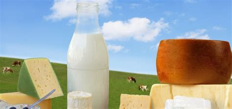 Is Dairy Dangerous? We Dive Into The Science mindbodygreen