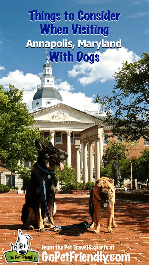 Is Downtown Annapolis Dog Friendly
