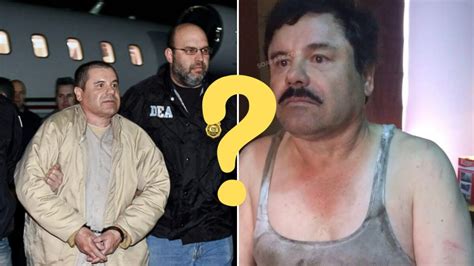 Is El Chapo Alive in 2024? (Revealed) - FemaleFinest