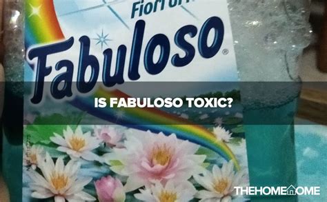 Is Fabuloso Toxic? (What You Should Know) The Home Tome