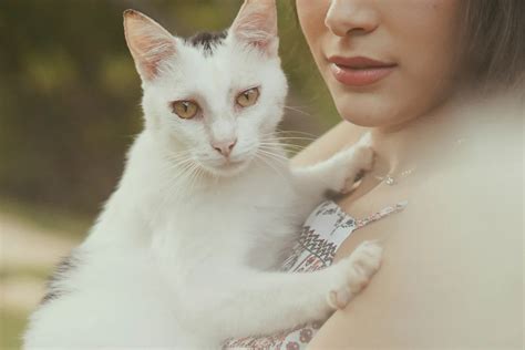 Is Foreo Cruelty-Free? 2024 Cruelty-Free Kitty Update