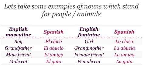 Is Gato In Spanish Masculine Or Feminine