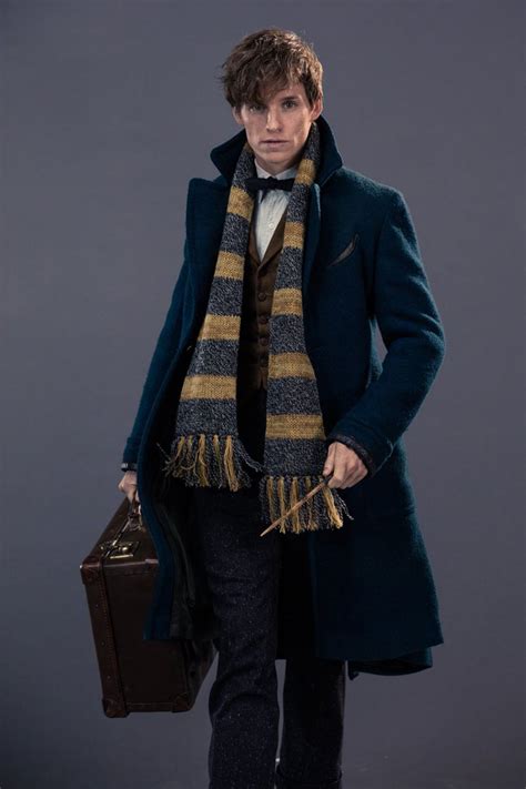 Is Harry Potter related to Newt Scamander? - We Got This Covered