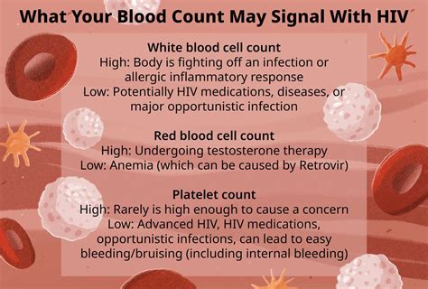 Is High WBC (White Blood Cells) Count in Pregnancy Harmful? - MomJu…