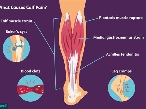 Is It Only Your Knee? How the Joints in Your Leg Work Together