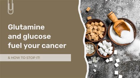 Is It Possible To Remove Glucose And Glutamine From A Cancer