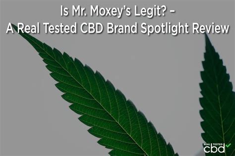 Is Mr. Moxey’s Legit? – A Real Tested CBD Brand Spotlight Review