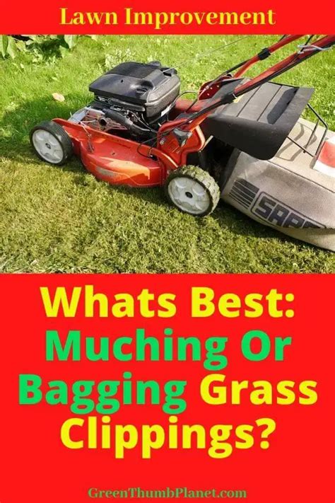 Is Mulching Or Bagging Better For Grass? - Green Thumb …