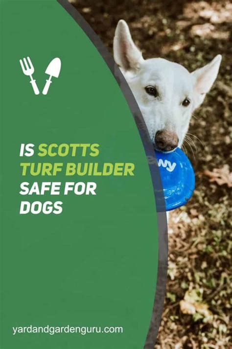 Is Scotts Turf Builder Safe For Dogs