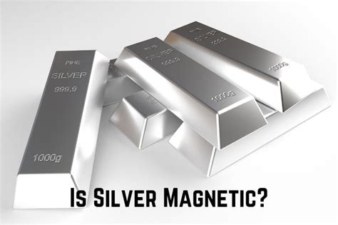 Is Silver & Fit The Same As Silver Sneakers - SneakersTalk.net