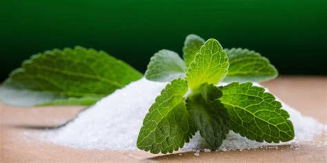 Is Stevia an inflammatory? - htfd6.org