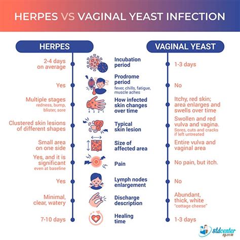 Is There A Connection Between Yeast Infection and Herpes?