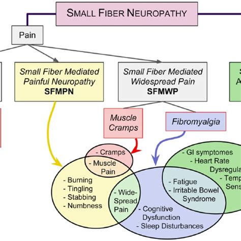 Is There A Test For Small Fiber Neuropathy • neuropathy recovery …