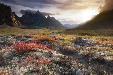 Is Tombstone Territorial Park worth it even if you don